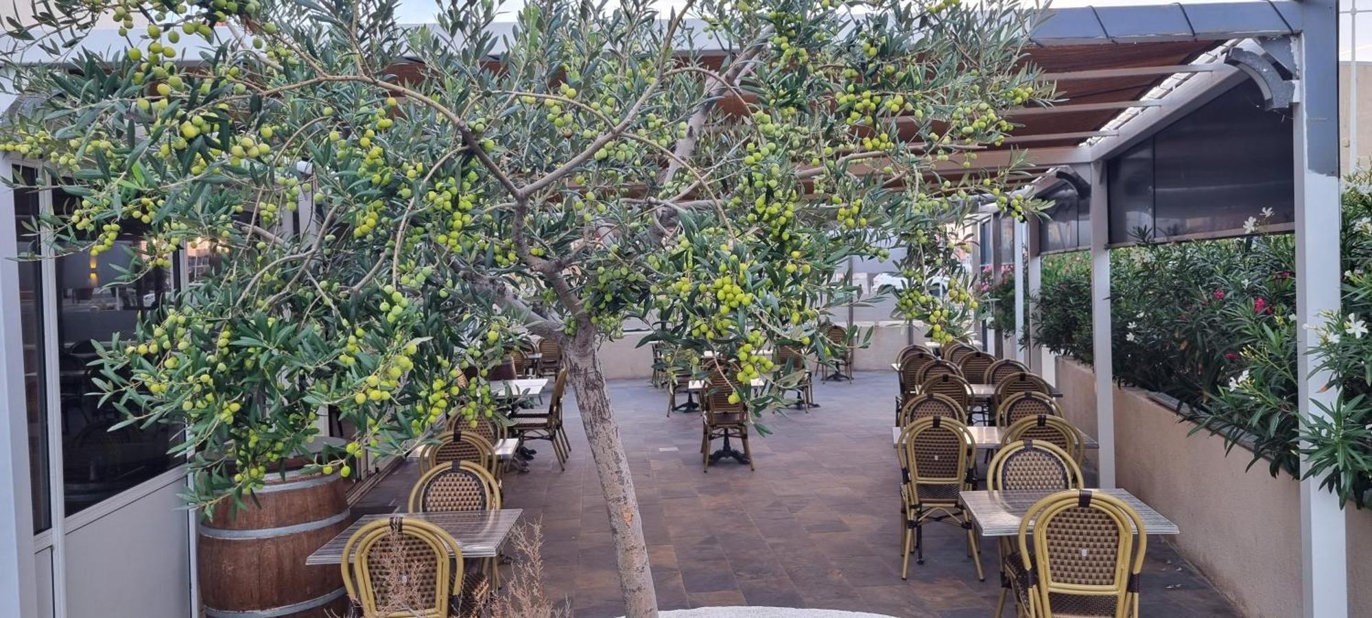 Hotel Restaurant Calypso Fos-sur-Mer Exterior foto